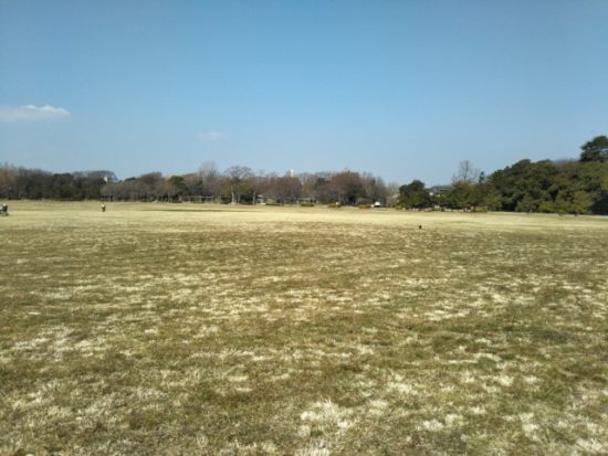 水元公園