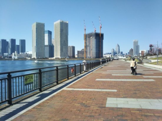 豊洲の景色