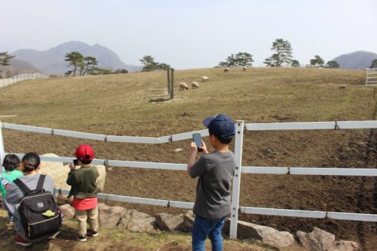 子供がスマホを使っている画像