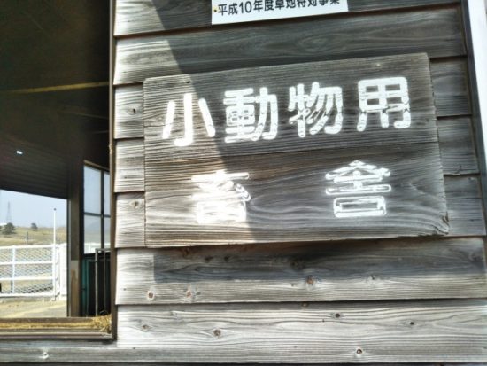 大笹牧場の小動物