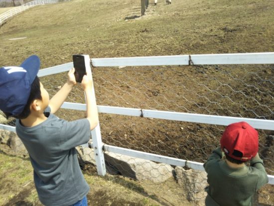 子供がスマホを使っている画像