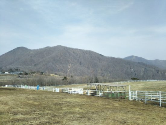 大笹牧場の画像