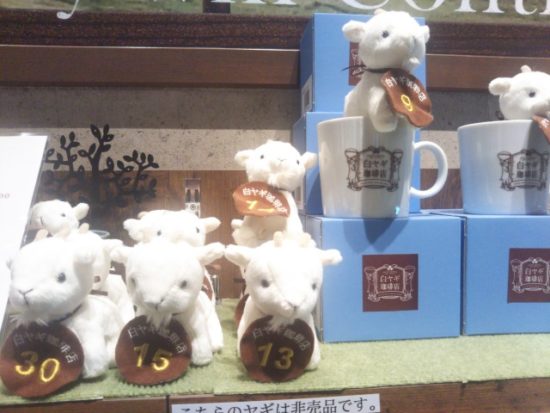 白ヤギ珈琲店のヤギ