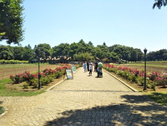 イバライドの風景