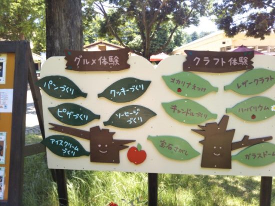 イバライドの体験イベント