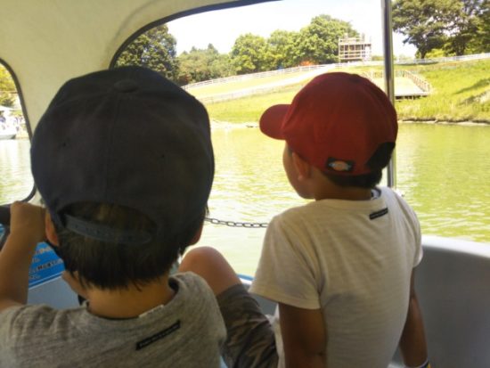 イバライドのスワンボート