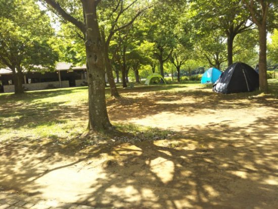 イバライドのテント