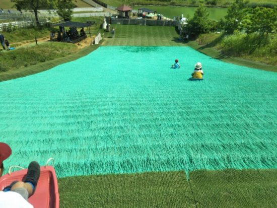 イバライドの芝滑り