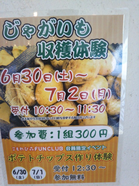 イバライドの限定イベント