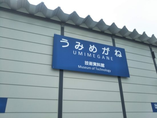 うみめがねの画像