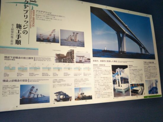 うみめがねの画像