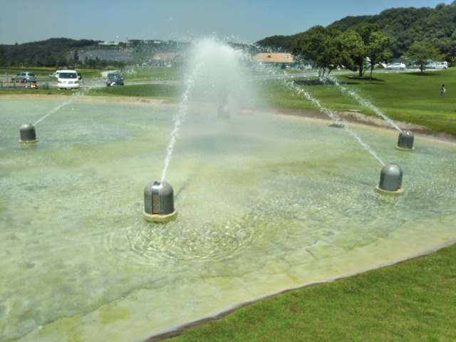 東京ドイツ村のバシャバシャ池