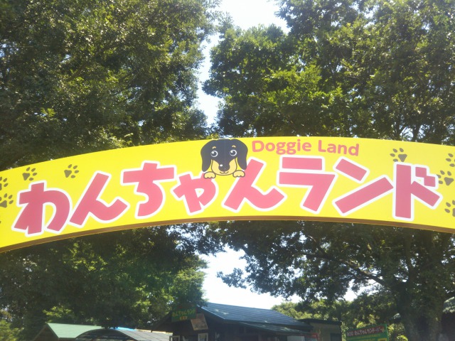 東京ドイツ村のわんちゃんランド