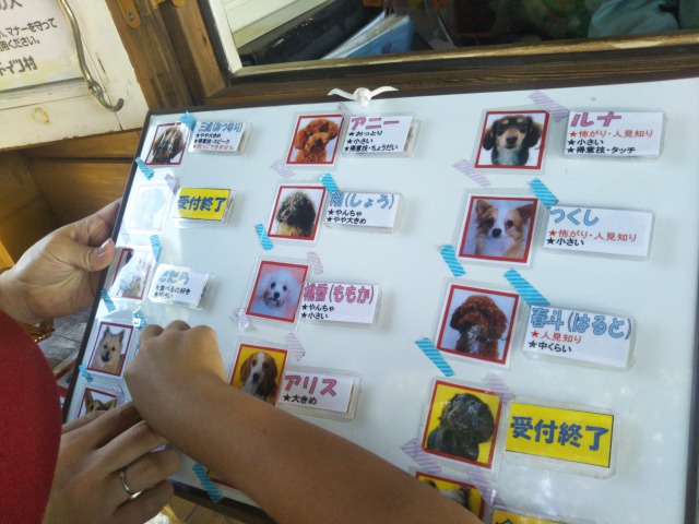 東京ドイツ村のわんちゃんランド