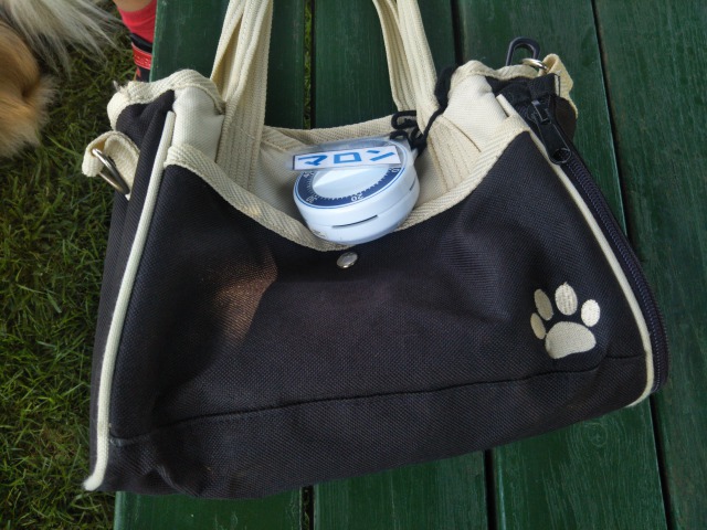 東京ドイツ村のわんちゃんランド