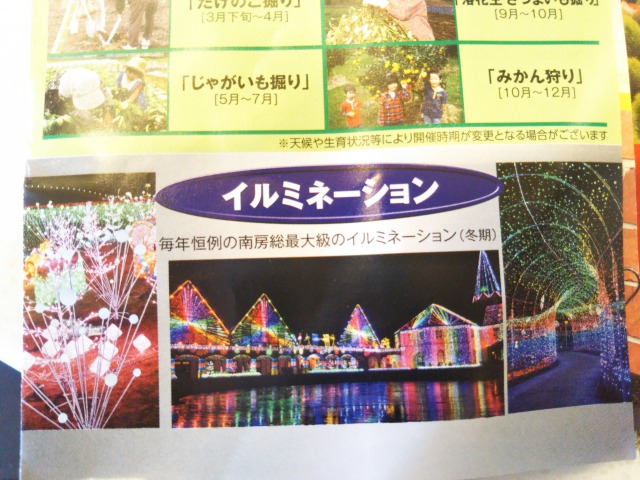 東京ドイツ村のイルミネーション