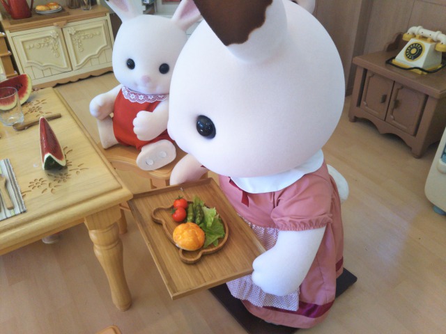 シルバニアパーク