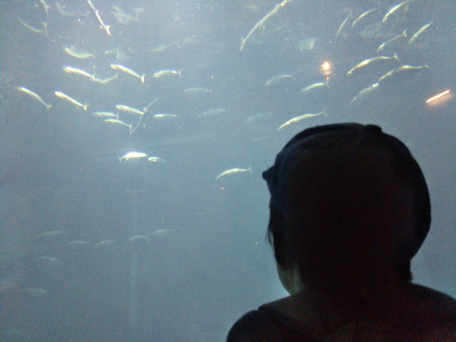 葛西臨海水族園
