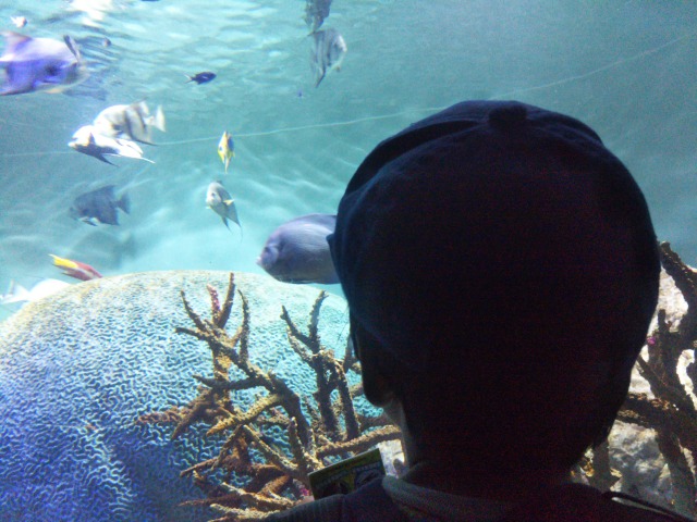 葛西臨海水族園の画像