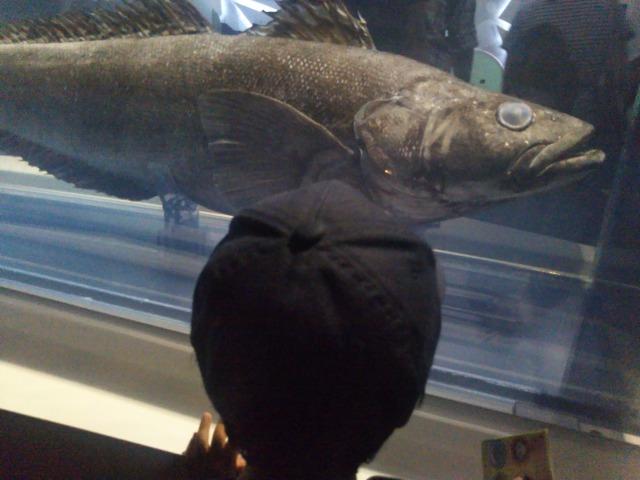 葛西臨海水族園