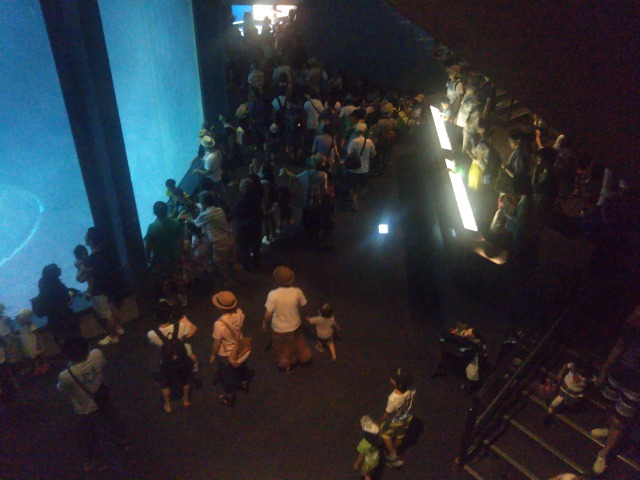 葛西臨海水族園の画像