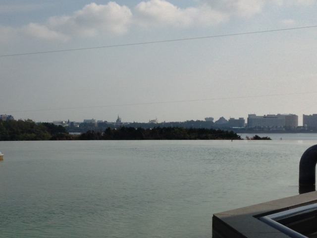 葛西臨海公園から見えるディズニー