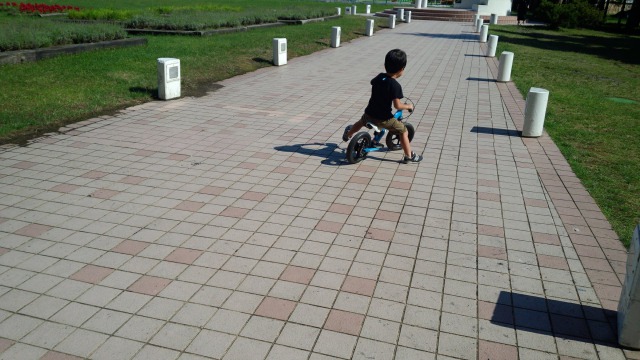 シャトレーゼ ガトー キングダム サッポロ