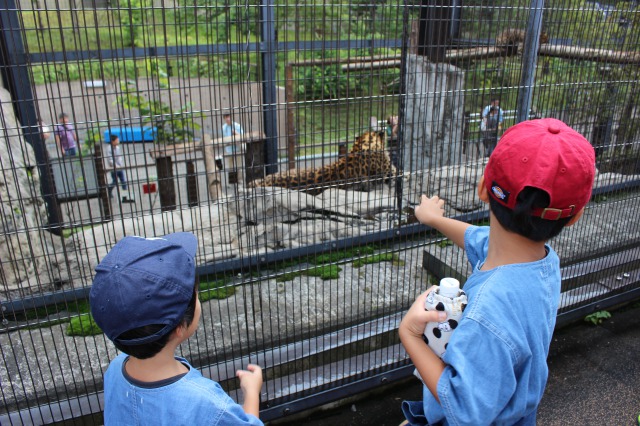 旭山動物園の子供たち