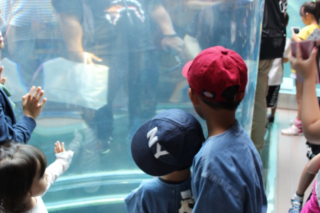 旭山動物園の子供たち