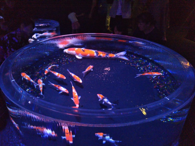 アートアクアリウム