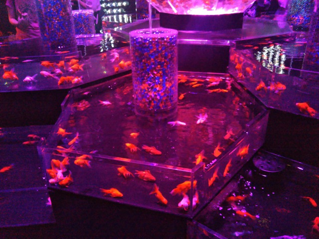 アートアクアリウム