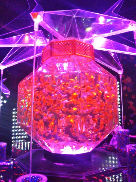 アートアクアリウム