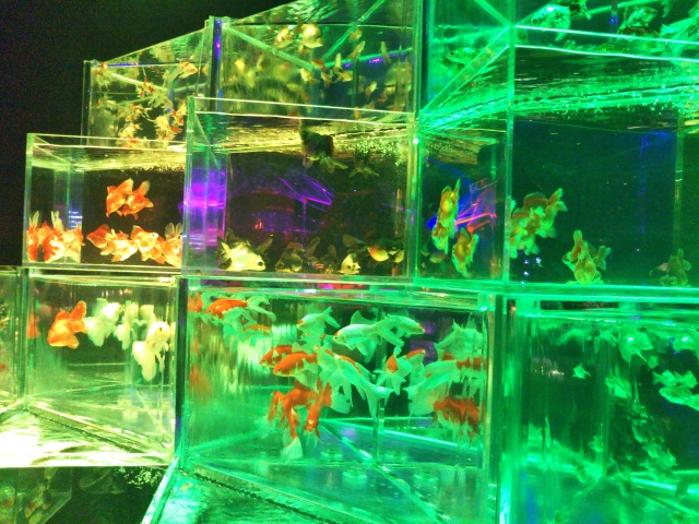 アートアクアリウム