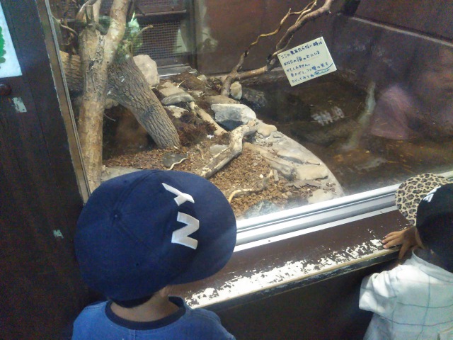 旭山動物園の子供たち