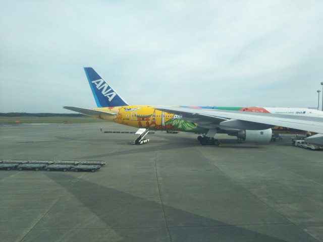 大空ミュージアム新千歳空港