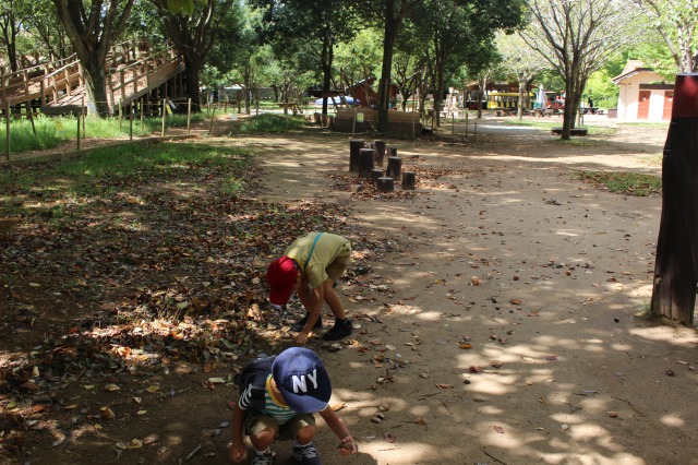 子供たちの写真