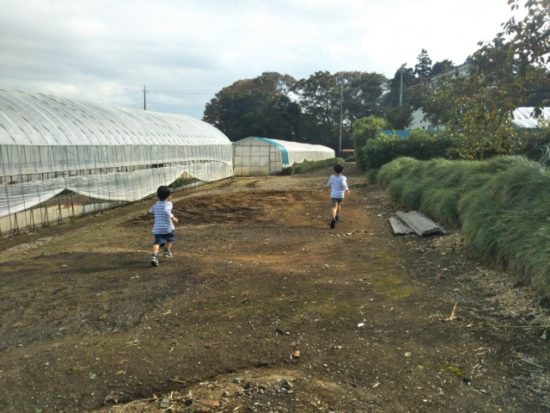 子供たちの画像