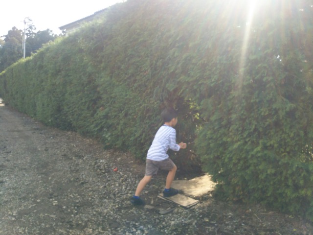 子供たちの画像