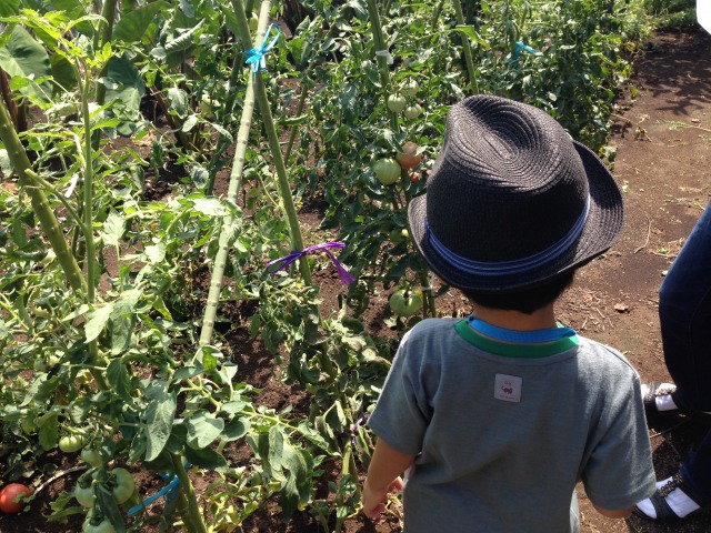 実家の子供たち