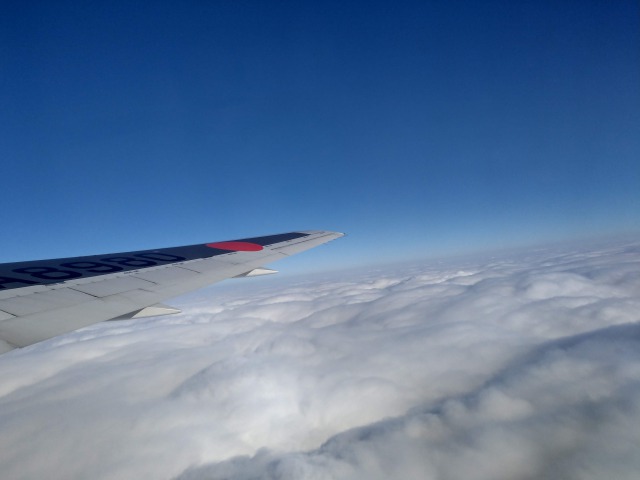 飛行機からの景色の画像