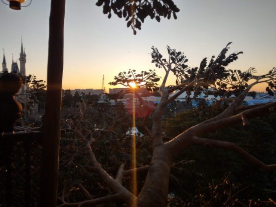 ディズニーランド