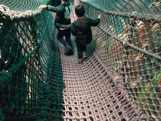 ディズニーマーメイドラグーン