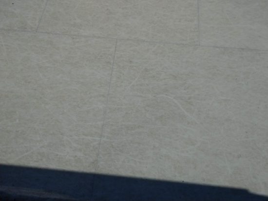 スケート場の画像