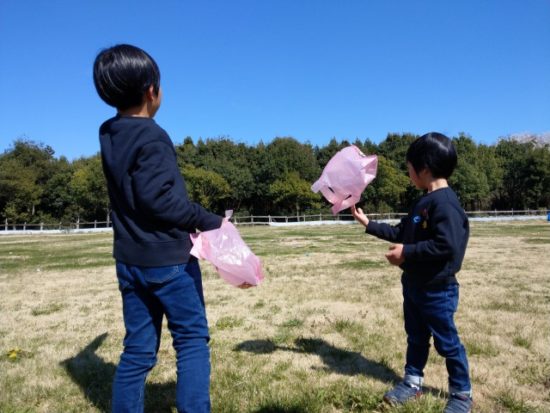 イバライドのエッグハント