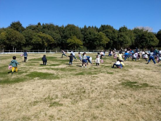 イバライドのエッグハント