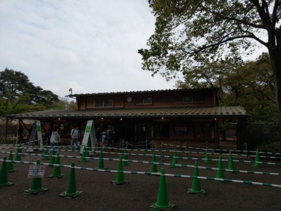 清水公園のアスレチック