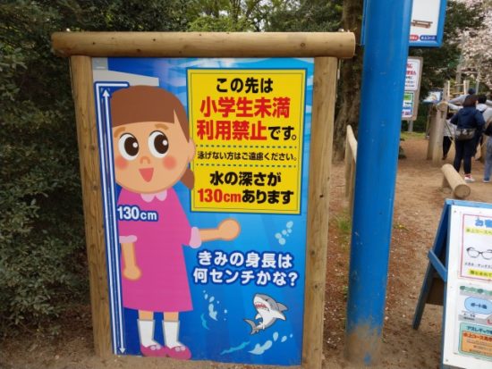 清水公園のアスレチック