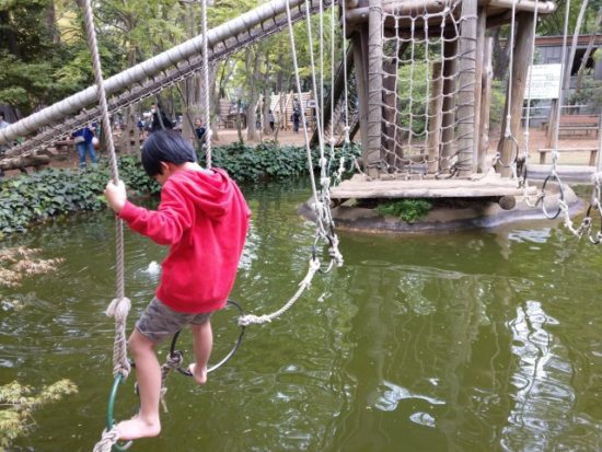 清水公園のアスレチック