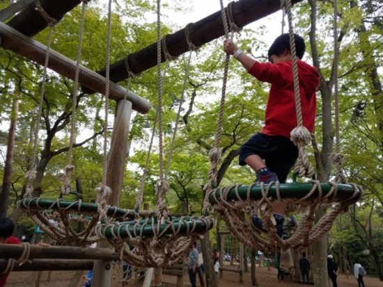 清水公園のアスレチック