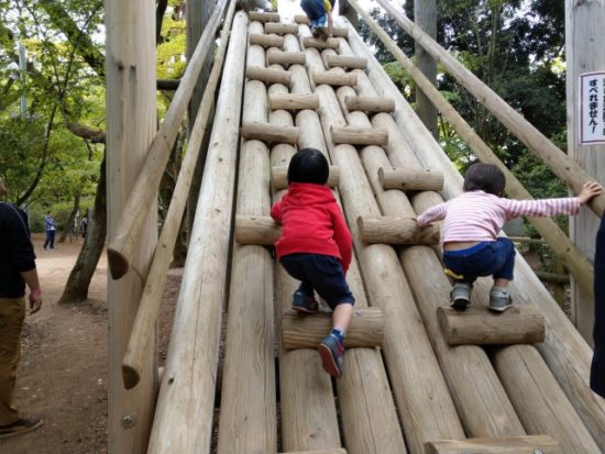 清水公園のアスレチック
